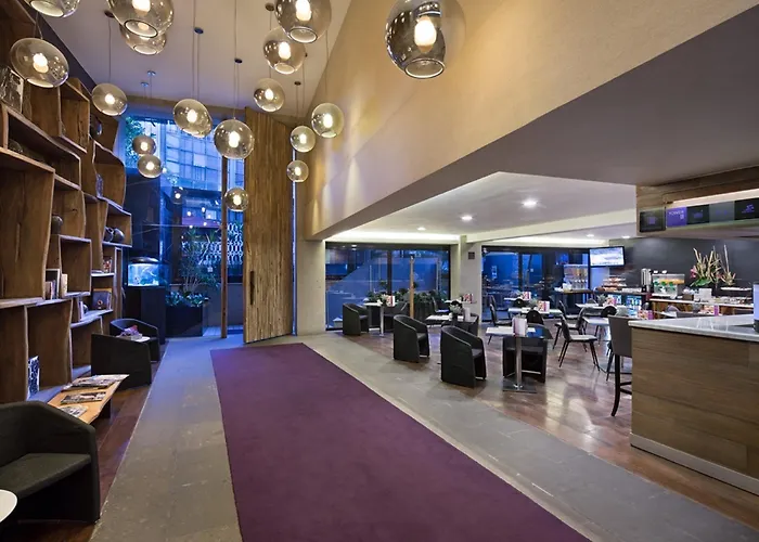 坎波斯艾里西欧司套房酒店 酒店 墨西哥城
