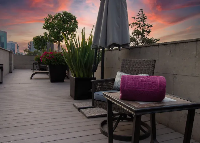 Campos Eliseos 5*